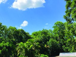 Oasis Mensajero E1