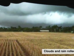 Harvest Jan 2024