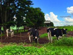 OM-E4 Updates